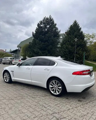 jaguar xf strzelce krajeńskie Jaguar XF cena 46900 przebieg: 270000, rok produkcji 2013 z Strzelce Krajeńskie